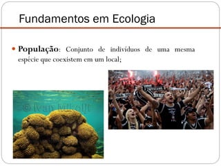  População: Conjunto de indivíduos de uma mesma
espécie que coexistem em um local;
Fundamentos em Ecologia
 