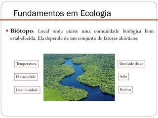  Biótopo: Local onde existe uma comunidade biológica bem
estabelecida. Ela depende de um conjunto de fatores abióticos:
Fundamentos em Ecologia
Temperatura
Pluviosidade
Luminosidade
Solo
Relevo
Umidade do ar
 