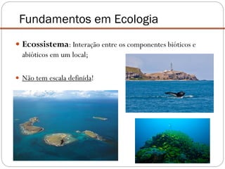  Ecossistema: Interação entre os componentes bióticos e
abióticos em um local;
 Não tem escala definida!
Fundamentos em Ecologia
 