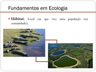  Hábitat: Local em que vive uma população (ou
comunidade);
Fundamentos em Ecologia
 