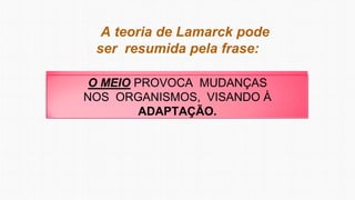 A teoria de Lamarck pode
ser resumida pela frase:
O MEIO PROVOCA MUDANÇAS
NOS ORGANISMOS, VISANDO À
ADAPTAÇÃO.
 