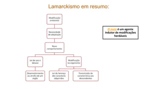 Lamarckismo em resumo:
O meio é um agente
indutor de modificações
herdáveis
 