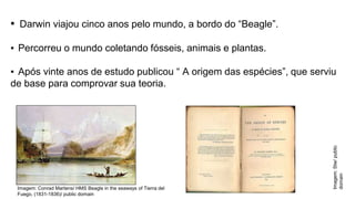 ▪ Darwin viajou cinco anos pelo mundo, a bordo do “Beagle”.
▪ Percorreu o mundo coletando fósseis, animais e plantas.
▪ Após vinte anos de estudo publicou “ A origem das espécies”, que serviu
de base para comprovar sua teoria.
Imagem: Conrad Martens/ HMS Beagle in the seaways of Tierra del
Fuego, (1831-1836)/ public domain
Imagem:
Stw/
public
domain
 