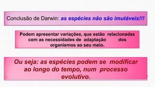 Conclusão de Darwin: as espécies não são imutáveis!!!
Podem apresentar variações, que estão relacionadas
com as necessidades de adaptação dos
organismos ao seu meio.
Ou seja: as espécies podem se modificar
ao longo do tempo, num processo
evolutivo.
 