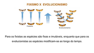 FIXISMO X EVOLUCIONISMO
Para os fixistas as espécies são fixas e imutáveis, enquanto que para os
evolucionistas as espécies modificam-se ao longo do tempo.
 