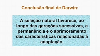 Conclusão final de Darwin:
A seleção natural favorece, ao
longo das gerações sucessivas, a
permanência e o aprimoramento
das características relacionadas à
adaptação.
 