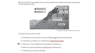 FUNDAMENTOS EM EVOLUÇÃO BIOLÓGICA.......