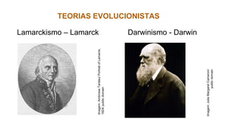 TEORIAS EVOLUCIONISTAS
Lamarckismo – Lamarck Darwinismo - Darwin
Imagem:
Julia
Margaret
Cameron/
public
domain
Imagem:
Ambroise
Tardieu/
Portrait
of
Lamarck,
1824/
public
domain
 