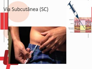 Via Subcutânea (SC)
 