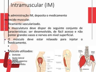 Intramuscular (IM)
◼ A administração IM, deposita o medicamento
no tecido muscular.
◼ Ricamente vascularizado.
◼ A musculatura deve dispor do seguinte conjunto de
características: ser desenvolvido, de fácil acesso e não
conter grandes vasos e nervos em nível superficial.
◼ O músculo deve estar relaxado para injetar o
medicamento.
◼ Músculo utilizados:
◼ Deltóide
◼ Vasto lateral
◼ Glúteo máximo
◼ Gluteo médio
 
