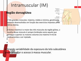 Intramuscular (IM)
Região dorsoglútea
• Três grandes músculos: máximo, médio e mínimo, geralmente
bastante desenvolvidos em função dos exercícios impostos pelas
rotinas diárias.
• Glúteo máximo é o maior dos três músculos da região glútea, a
escolha desse músculo é sempre lembrada como aquele que
consegue suportar os maiores volumes (no máximo 4 ml) de
medicamentos a ser injetado.
• Grande variabilidade da espessura da tela subcutânea
pode dificultar o acesso à massa muscular.
 