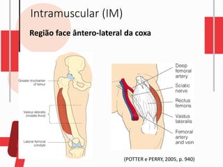 Intramuscular (IM)
Região face ântero-lateral da coxa
(POTTER e PERRY, 2005, p. 940)
 