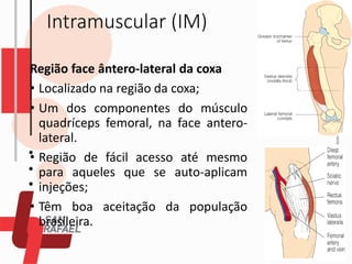 Intramuscular (IM)
Região face ântero-lateral da coxa
• Localizado na região da coxa;
• Um dos componentes do músculo
quadríceps femoral, na face antero-
lateral.
• Região de fácil acesso até mesmo
para aqueles que se auto-aplicam
injeções;
• Têm boa aceitação da população
brasileira.
 