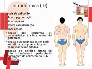 Intradérmica (ID)
Locais de aplicação
• Pouca pigmentação.
• Poucos pêlos.
• Pouca vascularização.
• Fácil acesso.
• Região que concentra as
características é a face ventral do
antebraço;
• Região escapular das costas pode
ser utilizada se preenchidos os
requisitos acima citados.
• Região do deltóide direito foi
intemacionalmente padronizada
como área de aplicação do BCG —
ID.
 