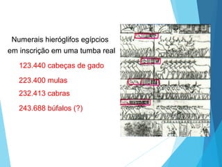 Numerais hieróglifos egípcios
123.440 cabeças de gado
223.400 mulas
232.413 cabras
em inscrição em uma tumba real
243.688 búfalos (?)
 