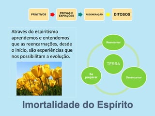 Imortalidade do Espírito
Através do espiritismo
aprendemos e entendemos
que as reencarnações, desde
o início, são experiências que
nos possibilitam a evolução.
TERRA
Reencarnar
Desencarnar
Se
preparar
PRIMITIVOS
PROVAS E
EXPIAÇÕES
REGENERAÇÃO DITOSOS
 