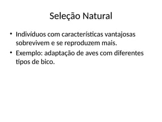 Seleção Natural
• Indivíduos com características vantajosas
sobrevivem e se reproduzem mais.
• Exemplo: adaptação de aves com diferentes
tipos de bico.
 