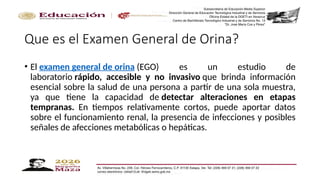 Amen General Fundamentos del Examen General de Orina (EGO) y Sistema Urinario | PPTX