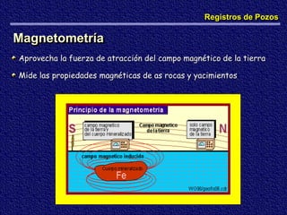 Magnetometría
Aprovecha la fuerza de atracción del campo magnético de la tierra
Mide las propiedades magnéticas de as rocas y yacimientos
Registros de Pozos
 