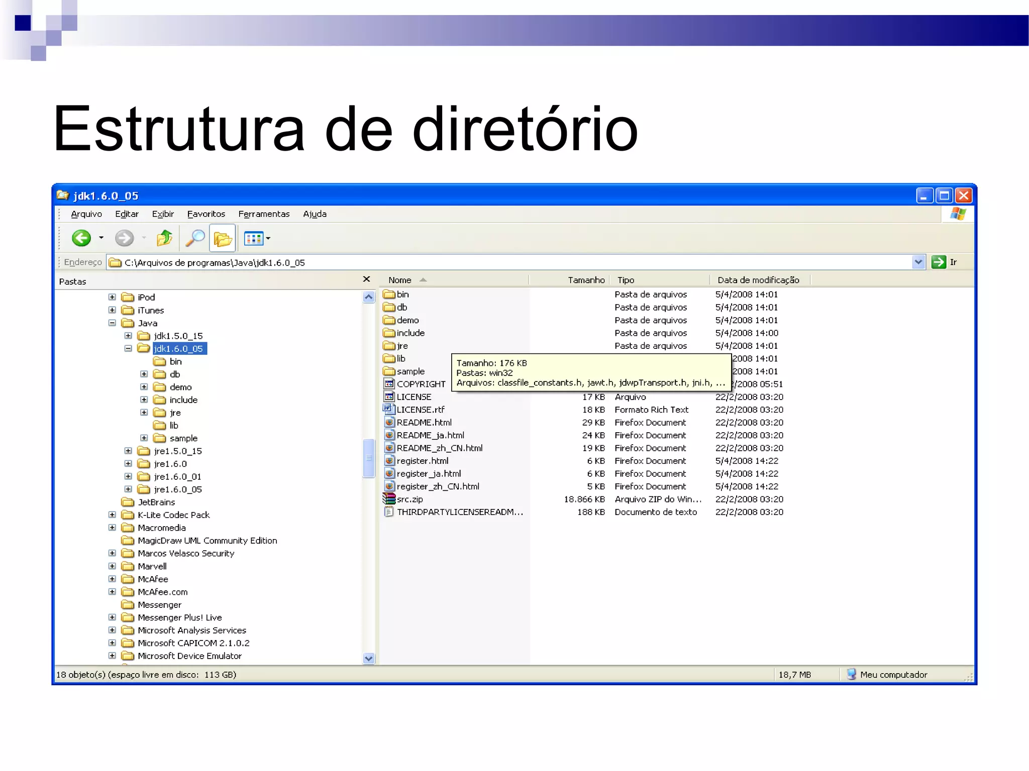 Estrutura de diretório 