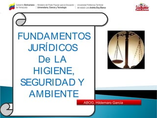 FUNDAMENTOS
JURÍDICOS
De LA
HIGIENE,
SEGURIDAD Y
AMBIENTE
FUNDAMENTOS
JURÍDICOS
De LA
HIGIENE,
SEGURIDAD Y
AMBIENTE
ABOG. Hildemaro García
 