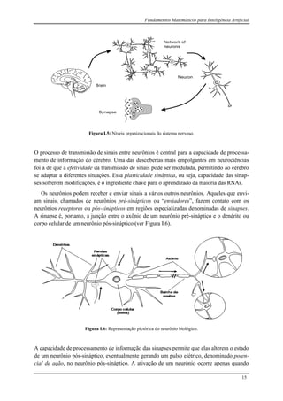 Fundamentos Matemáticos para Inteligência Artificial
15
h
Brain
Network of
neurons
Neuron
Synapse
Figura I.5: Níveis organizacionais do sistema nervoso.
O processo de transmissão de sinais entre neurônios é central para a capacidade de processa-
mento de informação do cérebro. Uma das descobertas mais empolgantes em neurociências
foi a de que a efetividade da transmissão de sinais pode ser modulada, permitindo ao cérebro
se adaptar a diferentes situações. Essa plasticidade sináptica, ou seja, capacidade das sinap-
ses sofrerem modificações, é o ingrediente chave para o aprendizado da maioria das RNAs.
Os neurônios podem receber e enviar sinais a vários outros neurônios. Aqueles que envi-
am sinais, chamados de neurônios pré-sinápticos ou “enviadores”, fazem contato com os
neurônios receptores ou pós-sinápticos em regiões especializadas denominadas de sinapses.
A sinapse é, portanto, a junção entre o axônio de um neurônio pré-sináptico e o dendrito ou
corpo celular de um neurônio pós-sináptico (ver Figura I.6).
Figura I.6: Representação pictórica do neurônio biológico.
A capacidade de processamento de informação das sinapses permite que elas alterem o estado
de um neurônio pós-sináptico, eventualmente gerando um pulso elétrico, denominado poten-
cial de ação, no neurônio pós-sináptico. A ativação de um neurônio ocorre apenas quando
 