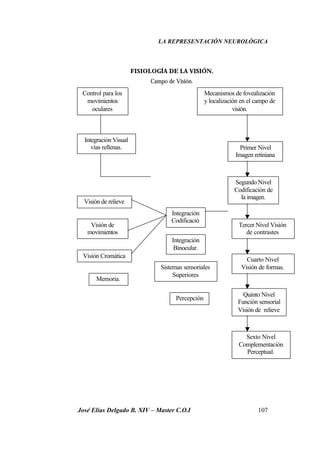 LA REPRESENTACIÓN NEUROLÓGICA
José Elías Delgado B. XIV – Master C.O.I 107
FISIOLOGÍA DE LA VISIÓN.
Campo de Visión.
Control para los
movimientos
oculares
Integración Visual
vías rellenas.
Visión de relieve
Visión de
movimientos
Visión Cromática
Memoria.
Mecanismos de fovealización
y localización en el campo de
visión.
Primer Nivel
Imagen retiniana
Segundo Nivel
Codificación de
la imagen.
Tercer Nivel Visión
de contrastes
Cuarto Nivel
Visión de formas.
Quinto Nivel
Función sensorial
Visión de relieve
Sexto Nivel
Complementación
Perceptual.
Integración
Codificació
n
Integración
Binocular.
Sistemas sensoriales
Superiores
Percepción
 