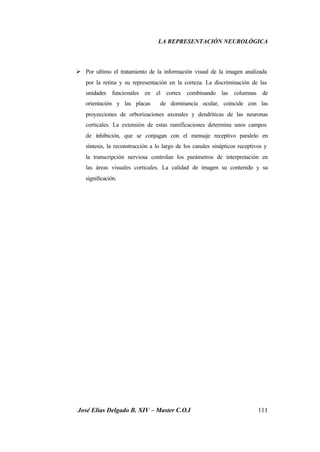 LA REPRESENTACIÓN NEUROLÓGICA
José Elías Delgado B. XIV – Master C.O.I 111
Ø Por ultimo el tratamiento de la información visual de la imagen analizada
por la retina y su representación en la corteza. La discriminación de las
unidades funcionales en el cortex combinando las columnas de
orientación y las placas de dominancia ocular, coincide con las
proyecciones de orborizaciones axonales y dendríticas de las neuronas
corticales. La extensión de estas ramificaciones determina unos campos
de inhibición, que se conjugan con el mensaje receptivo paralelo en
síntesis, la reconstrucción a lo largo de los canales sinápticos receptivos y
la transcripción nerviosa controlan los parámetros de interpretación en
las áreas visuales corticales. La calidad de imagen su contenido y su
significación.
 