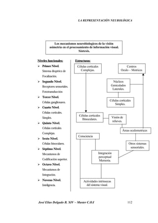 LA REPRESENTACIÓN NEUROLÓGICA
José Elías Delgado B. XIV – Master C.O.I 112
Niveles funcionales: Estructuras:
Ø Primer Nivel.
Sistema dioptrico de
Focalización.
Ø Segundo Nivel.
Receptores sensoriales.
Fototransducción
Ø Tercer Nivel.
Células ganglionares.
Ø Cuarto Nivel.
Células corticales.
Simples.
Ø Quinto Nivel.
Células corticales
Complejas.
Ø Sexto Nivel.
Células binoculares.
Ø Séptimo Nivel.
Mecanismos de
Codificación superior.
Ø Octavo Nivel.
Mecanismos de
Integración.
Ø Noveno Nivel.
Inteligencia.
Los mecanismos neurobiologicos de la visión
asimetría en el procesamiento de información visual.
Síntesis.
Células corticales
Complejas.
Células corticales
Binoculares.
Consciencia
Centros
Oculo – Motrices
Núcleos
Geniculados
Laterales.
Células corticales
Simples.
Visión de
relieves.
Áreas oculomotrices
Otros sistemas
sensoriales.
Integración
perceptual
Memoria.
Actividades intrínsecas
del sistema visual.
 