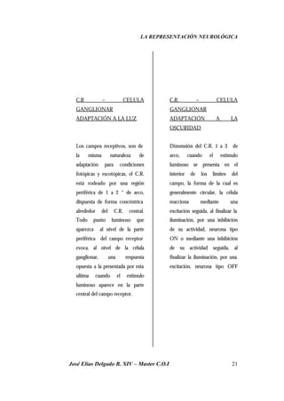 LA REPRESENTACIÓN NEUROLÓGICA
José Elías Delgado B. XIV – Master C.O.I 21
C.R – CELULA
GANGLIONAR
ADAPTACIÓN A LA LUZ
Los campos receptivos, son de
la misma naturaleza de
adaptación para condiciones
fotópicas y escotópicas, el C.R.
está rodeado por una región
periférica de 1 a 2 “ de arco,
dispuesta de forma concéntrica
alrededor del C.R. central.
Todo punto luminoso que
aparezca al nivel de la parte
periférica del campo receptor
evoca, al nivel de la célula
ganglionar, una respuesta
opuesta a la presentada por esta
ultima cuando el estimulo
luminoso aparece en la parte
central del campo receptor.
C.R. – CELULA
GANGLIONAR
ADAPTACIÓN A LA
OSCURIDAD
Dimensión del C.R. 1 a 3 de
arco, cuando el estimulo
luminoso se presenta en el
interior de los limites del
campo, la forma de la cual es
generalmente circular, la célula
reacciona mediante una
excitación seguida, al finalizar la
iluminación, por una inhibición
de su actividad, neurona tipo
ON o mediante una inhibición
de su actividad seguida, al
finalizar la iluminación, por una
excitación, neurona tipo OFF
 