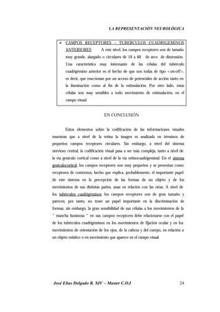 LA REPRESENTACIÓN NEUROLÓGICA
José Elías Delgado B. XIV – Master C.O.I 24
Ø CAMPOS RECEPTORES – TUBERCULOS CUADRIGEMINOS
ANTERIORES A este nivel, los campos receptores son de tamaño
muy grande, alargado o circulares de 10 a 60 de arco de dimensión.
Una característica muy interesante de las células del tubérculo
cuadrigémino anterior es el hecho de que son todas de tipo <on-off>,
es decir, que reaccionan por un acceso de potenciales de acción tanto en
la iluminación como al fin de la estimulación. Por otro lado, estas
células son muy sensibles a todo movimiento de estimulación, en el
campo visual.
EN CONCLUSIÓN
Estos elementos sobre la codificación de las informaciones visuales
muestran que a nivel de la retina la imagen es analizada en términos de
pequeños campos receptores circulares. Sin embargo, a nivel del sistema
nervioso central, la codificación visual pasa a ser más compleja, tanto a nivel de
la vía geniculo cortical como a nivel de la vía retinocuadrigeminal. En el sistema
geniculocortical, los campos receptores son muy pequeños y se presentan como
receptores de contornos, hecho que explica, probablemente, el importante papel
de este sistema en la percepción de las formas de un objeto y de los
movimientos de sus distintas partes, unas en relación con las otras. A nivel de
los tubérculos cuadrigéminos, los campos receptores son de gran tamaño y
parecen, por tanto, no tener un papel importante en la discriminación de
formas, sin embargo, la gran sensibilidad de sus células a los movimientos de la
“ mancha luminosa “ en sus campos receptores debe relacionarse con el papel
de los tubérculos cuadrigéminos en los movimientos de fijación ocular y en los
movimientos de orientación de los ojos, de la cabeza y del cuerpo, en relación a
un objeto estático o en movimiento que aparece en el campo visual.
 