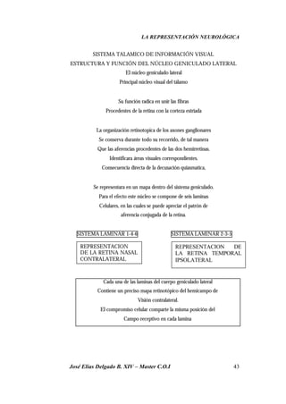 LA REPRESENTACIÓN NEUROLÓGICA
José Elías Delgado B. XIV – Master C.O.I 43
SISTEMA TALAMICO DE INFORMACIÓN VISUAL
ESTRUCTURA Y FUNCIÓN DEL NÚCLEO GENICULADO LATERAL
El núcleo geniculado lateral
Principal núcleo visual del tálamo
⇓
Su función radica en unir las fibras
Procedentes de la retina con la corteza estriada
⇓
La organización retinotopica de los axones ganglionares
Se conserva durante todo su recorrido, de tal manera
Que las aferencias procedentes de las dos hemirretinas.
Identificara áreas visuales correspondientes.
Consecuencia directa de la decusación quiasmatica,
⇓
Se representara en un mapa dentro del sistema geniculado.
Para el efecto este núcleo se compone de seis laminas
Celulares, en las cuales se puede apreciar el patrón de
aferencia conjugada de la retina.
SISTEMA LAMINAR 1-4-6 SISTEMA LAMINAR 2-3-5
Cada una de las laminas del cuerpo geniculado lateral
Contiene un preciso mapa retinotópico del hemicampo de
Visión contralateral.
El compromiso celular comparte la misma posición del
Campo receptivo en cada lamina
REPRESENTACION
DE LA RETINA NASAL
CONTRALATERAL
REPRESENTACION DE
LA RETINA TEMPORAL
IPSOLATERAL
 