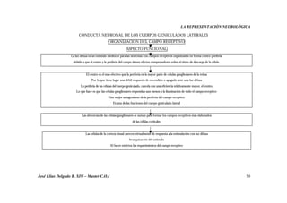 LA REPRESENTACIÓN NEUROLÓGICA
José Elías Delgado B. XIV – Master C.O.I 50
CONDUCTA NEURONAL DE LOS CUERPOS GENICULADOS LATERALES
ORGANIZACIÓN DEL CAMPO RECEPTIVO
ASPECTO FUNCIONAL
La luz difusa es un estimulo mediocre para las neuronas con campos receptivos organizados en forma centro-periferia
debido a que el centro y la periferia del campo tienen efectos compensadores sobre el ritmo de descarga de la célula.
El centro es el mas efectivo que la periferia en la mayor parte de células ganglionares de la retina
Por lo que tiene lugar una débil respuesta de encendido o apagado ante una luz difusa
La periferia de las células del cuerpo geniculado, cancela con una eficiencia relativamente mayor, el centro
Lo que hace es que las células ganglionares respondan aun menos a la iluminación de todo el campo receptivo
Este mejor antagonismo de la periferia del campo receptivo
Es una de las funciones del cuerpo geniculado lateral
Las aferencias de las células ganglionares se suman para formar los campos receptivos más elaborados
de las células corticales
Las células de la corteza visual carecen virtualmente de respuesta a la estimulación con luz difusa
Jerarquización del estimulo
Al hacer estrictos los requerimientos del campo receptivo
 