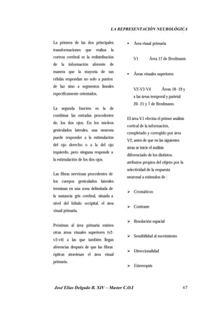 LA REPRESENTACIÓN NEUROLÓGICA
José Elías Delgado B. XIV – Master C.O.I 67
La primera de las dos principales
transformaciones que realiza la
corteza cerebral es la redistribución
de la información aferente de
manera que la mayoría de sus
células respondan no solo a puntos
de luz sino a segmentos lineales
específicamente orientados.
La segunda función es la de
combinar las entradas procedentes
de, los dos ojos. En los núcleos
geniculados laterales, una neurona
puede responder a la estimulación
del ojo derecho o a la del ojo
izquierdo, pero ninguna responde a
la estimulación de los dos ojos.
Las fibras nerviosas procedentes de
los cuerpos geniculados laterales
terminan en una zona delimitada de
la sustancia gris cerebral, situada a
nivel del lóbulo occipital, el área
visual primaria.
Próximas al área primaria existen
otras áreas visuales superiores (v2-
v3-v4) a las que también llegan
aferencias después de que las fibras
ópticas atraviesan el área visual
primaria.
• Área visual primaria
V1 ⇒ Área 17 de Brodmann
• Áreas visuales superiores
V2-V3-V4 ⇒ Áreas 18- 19 y
a las áreas temporal y parietal
20- 21 y 7 de Brodmann.
El área V1 efectúa el primer análisis
cortical de la información,
completado y corregido por área
V2, antes de que en las siguientes
áreas se inicie el análisis
diferenciado de los distintos
atributos propios del objeto por la
selectividad de la respuesta
neuronal a estímulos de :
Ø Cromáticos
Ø Contraste
Ø Resolución espacial
Ø Sensibilidad al movimiento
Ø Direccionalidad
Ø Estereopsis
 