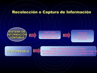 Recolección o Captura de Información
SISTEMA DESISTEMA DE
INFORMACIÓNINFORMACIÓN
CONTABLECONTABLE
CAPTURA
O RECOLECTA
INFORMACIÓN
A TRAVES DE
LOS MEDIOS
QUE PARA C/U
DE LAS OPERACIONES
SE DEFINA
RESPONSABLERESPONSABLE
DEBE ASEGURARSE QUE TODA
LA INFORMACIÓN LLEGUE, CON LAS CONDICIONE DE
INTEGRIDAD, OPORTUNIDAD, CONFIABILIDAD
 