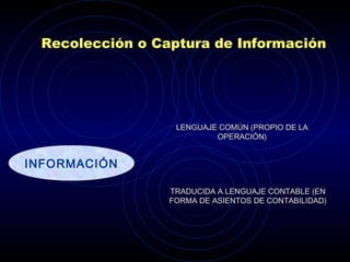 Recolección o Captura de Información
INFORMACIÓN
LENGUAJE COMÚN (PROPIO DE LALENGUAJE COMÚN (PROPIO DE LA
OPERACIÓN)OPERACIÓN)
TRADUCIDA A LENGUAJE CONTABLE (ENTRADUCIDA A LENGUAJE CONTABLE (EN
FORMA DE ASIENTOS DE CONTABILIDAD)FORMA DE ASIENTOS DE CONTABILIDAD)
 