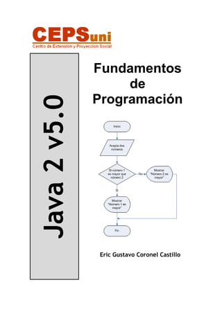Java2v5.0 Fundamentos
de
Programación
Eric Gustavo Coronel Castillo
 