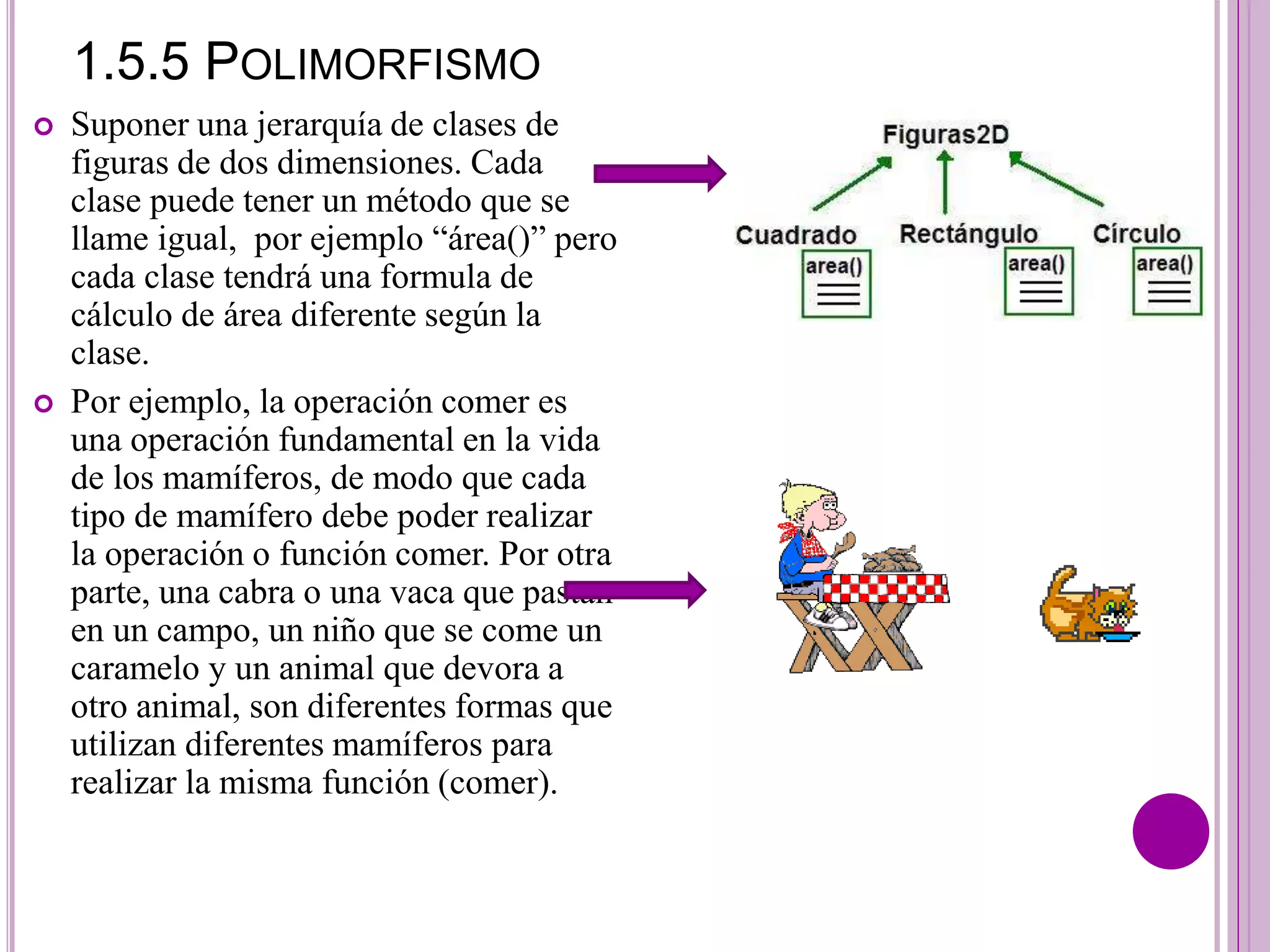 1.5.5 POLIMORFISMO
 Suponer una jerarquía de clases de
figuras de dos dimensiones. Cada
clase puede tener un método que se
llame igual, por ejemplo “área()” pero
cada clase tendrá una formula de
cálculo de área diferente según la
clase.
 Por ejemplo, la operación comer es
una operación fundamental en la vida
de los mamíferos, de modo que cada
tipo de mamífero debe poder realizar
la operación o función comer. Por otra
parte, una cabra o una vaca que pastan
en un campo, un niño que se come un
caramelo y un animal que devora a
otro animal, son diferentes formas que
utilizan diferentes mamíferos para
realizar la misma función (comer).
 