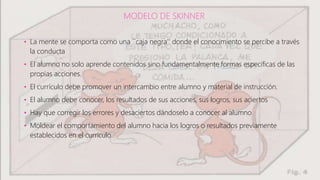 MODELO DE SKINNER
• La mente se comporta como una ``caja negra'' donde el conocimiento se percibe a través
la conducta
• El alumno no solo aprende contenidos sino fundamentalmente formas especificas de las
propias acciones.
• El currículo debe promover un intercambio entre alumno y material de instrucción.
• El alumno debe conocer, los resultados de sus acciones, sus logros, sus aciertos
• Hay que corregir los errores y desaciertos dándoselo a conocer al alumno
• Moldear el comportamiento del alumno hacia los logros o resultados previamente
establecidos en el currículo
 