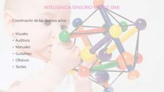 INTELIGENCIA SENSORIO-MOTRIZ (ISM)
Coordinación de los diversos actos:
• Visuales
• Auditivos
• Manuales
• Gustativos
• Olfativos
• Táctiles
 