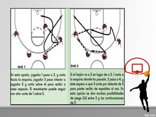 Fundamentos tacticos del baloncesto