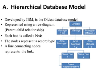 A. Hierarchical Database Model
• Developed by IBM, is the Oldest database model.
• Represented using a tree-diagram.
(Parent-child relationship)
• Each box is called a Node
• The nodes represent a record type.
• A line connecting nodes
represents the link.
Director
Manager
(Market.)
Manage
r
(Sales)
Manager
(HR)
Area
Manager
1
Area
Manage
r 2
Area
Manage
r 3
Sales Exe.
1
Sales Exe.
2
Sales
Representative
 