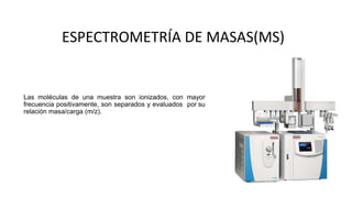 FUNDAMETOS DE LA ESPECTROMERIA DE MASAS EN TAMDEM DIAPO.pptx.pptx (1).pptx