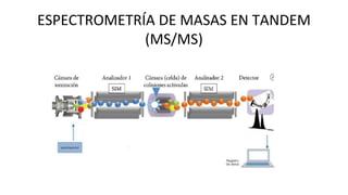 FUNDAMETOS DE LA ESPECTROMERIA DE MASAS EN TAMDEM DIAPO.pptx.pptx (1).pptx