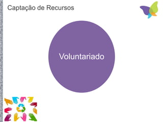 Captação de Recursos
Voluntariado
 