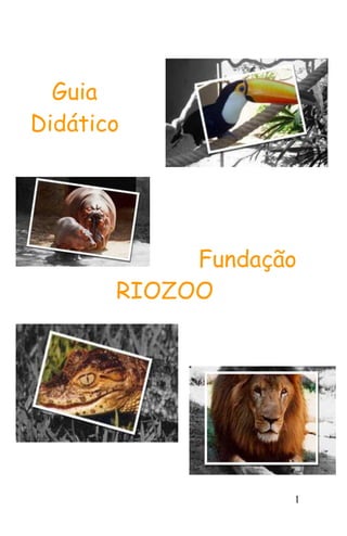 1
Guia
Didático
Fundação
RIOZOO
 