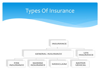 Types Of Insurance
 