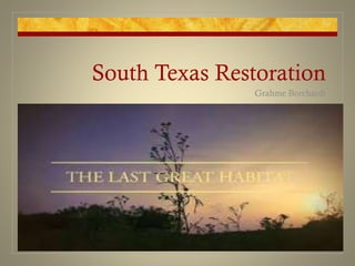 South Texas Restoration
Grahme Borchardt
 