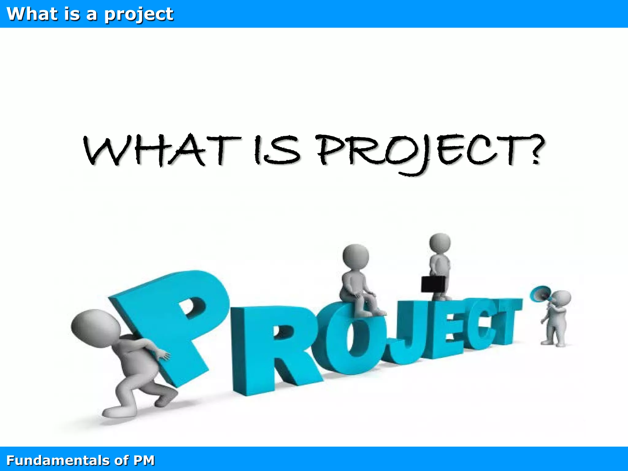 Fundamentals of project management PDF