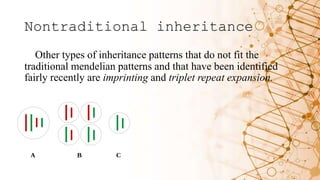 Inheritance Triplets fundamentals of human genetics (dental).pptx